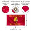 Ferris State Bulldogs Flag with Pole and Bracket Holder University Set view 3