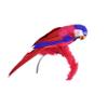 Western F.a.s.h.i.o.n Pirate Parrot Headband view 1