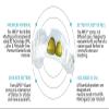 GuardLab APEX Mouthguard w/Case | Football, Basketball, Boxing, Wrestling, Soccer, Karate, Hockey, MMA | Adult & Youth | Pre-Indented for a Precise Fit (Knockout, Large) view 2