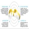 GuardLab APEX Mouthguard w/Case | Football, Basketball, Boxing, Wrestling, Soccer, Karate, Hockey, MMA | Adult & Youth | Pre-Indented for a Precise Fit (Liquid Gold, Small) view 2