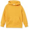 Amazon Essentials Boys' Fleece Pullover Hoodie Sweatshirts, Golden Yellow, Large view 1