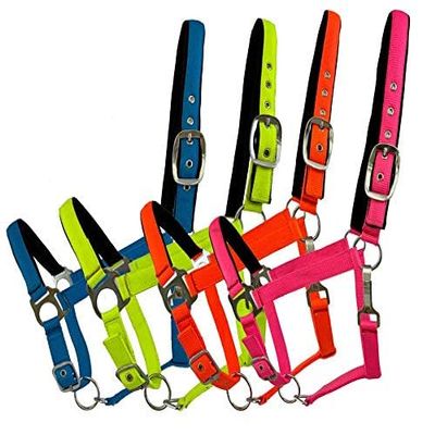 Fluorescent Nylon Neoprene Lined Adjustable Halter (Blue)