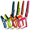 Fluorescent Nylon Neoprene Lined Adjustable Halter (Blue)
