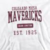 Colorado Mesa University Official Founded Date Unisex Adult Pull-Over Hoodie, White, X-Large view 2