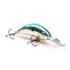 Phenomenon #5 Crankbait Variety Pack view 3