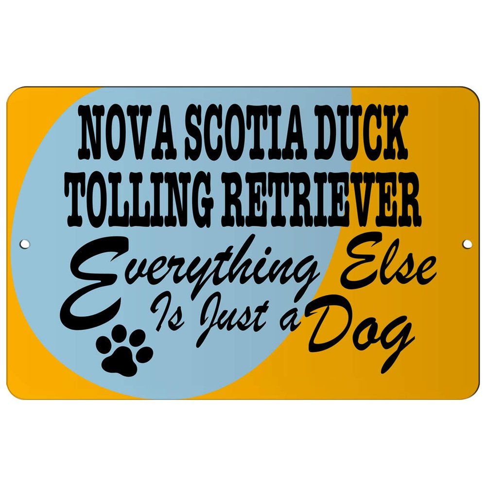 Makoroni - NOVA Scotia Duck Tolling Retriever Everything Else is A JUST A Dog - 12"x18" Aluminum Novelty Fun Street Sign, DesN28