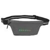 Royal 13034G BL300 Fanny Bag view 3