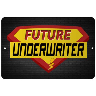 Makoroni - Future Underwriter Career - 8"x12" Aluminum Novelty Fun Street Sign, Desy40