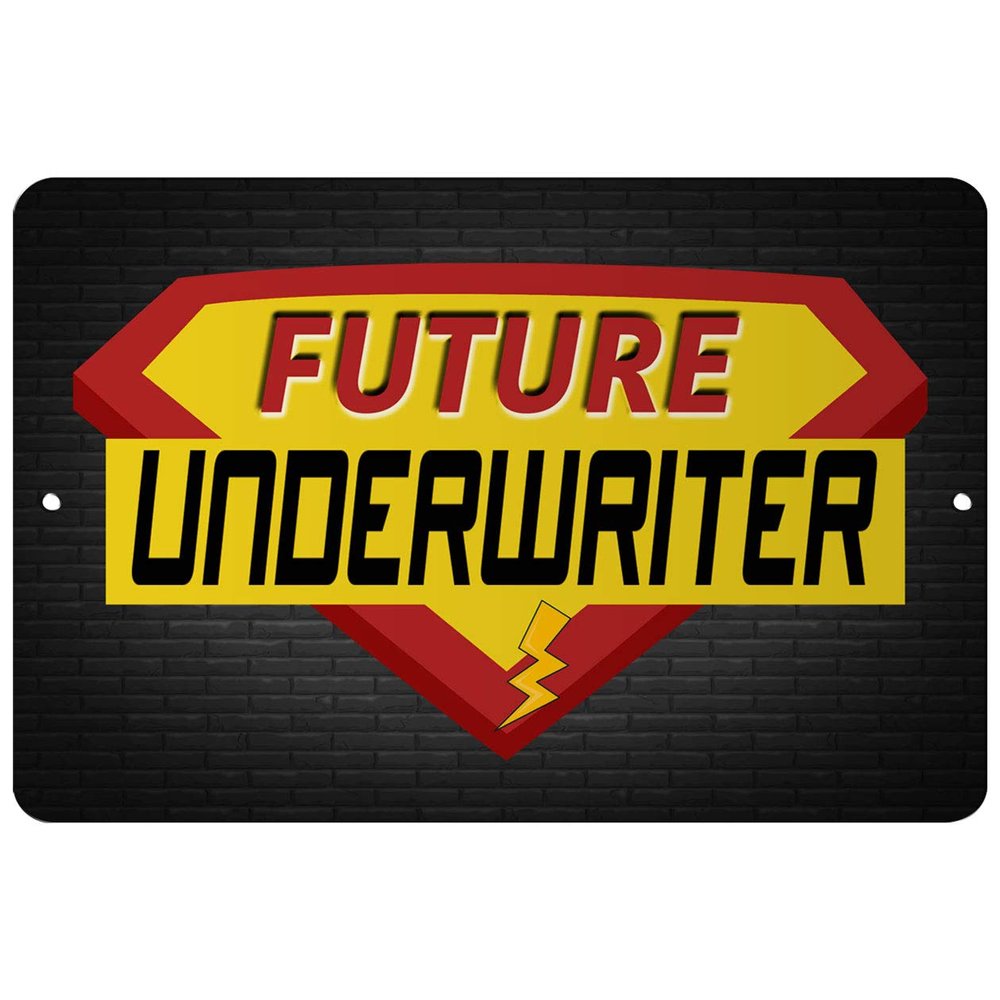 Makoroni - Future Underwriter Career - 8"x12" Aluminum Novelty Fun Street Sign, Desy40
