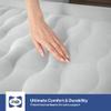 Sealy Tritech Queen Sized 20" Air Mattress Bed 2 Person w/Built-in AC Pump & Bag view 4