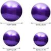 Enyee Anti-Burst Yoga Ball Thickened Stability Balance Ball Pilates Barre Physical Fitness Exercise Ball 45CM / 55CM / 65CM / 75CM Gift Air Pump view 3