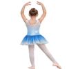 EQSJIU Dance Leotards for Girls with Tutu Ballet Skirts Dresses Gymnastics 3t 4t Blue Snowflake Diamond Gradient Colors White 3-4t Cute Princess Dress view 3