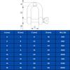 MarineNow 316 Stainless Steel D-Shackle Marine Grade Choose Size and Pack Quantity (08 mm (5/16"), 10-Pack) view 2