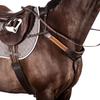 Modified Bridge Breastplate - Matching Elastic Havana Cob
