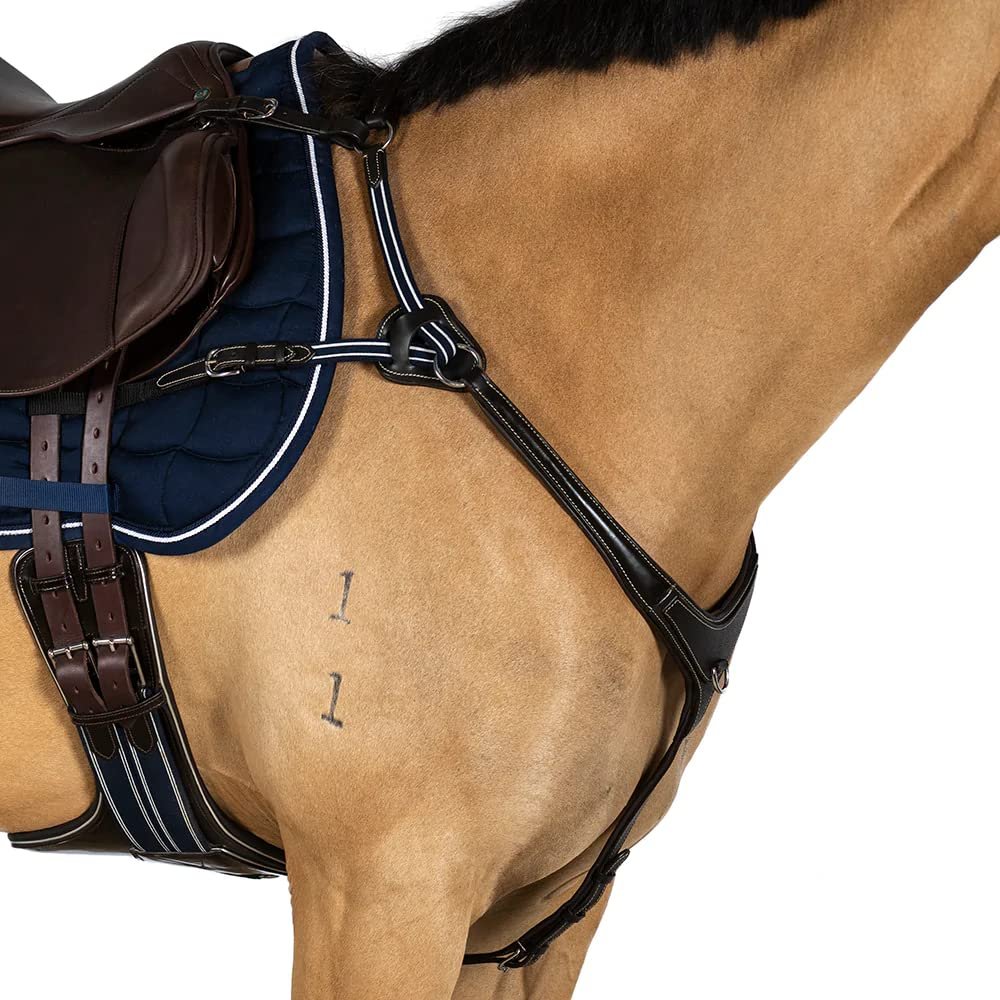 Precision Jump 5 Point Breastplate Havana with Blue and White Elastic Cob