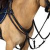Precision Jump 5 Point Breastplate Havana with Blue and White Elastic Cob view 2