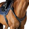 Precision Jump 5 Point Breastplate Havana with Blue and White Elastic Cob view 4