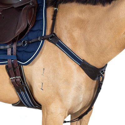 Modified Bridge Breastplate - with Blue and White Elastics Havana Oversize