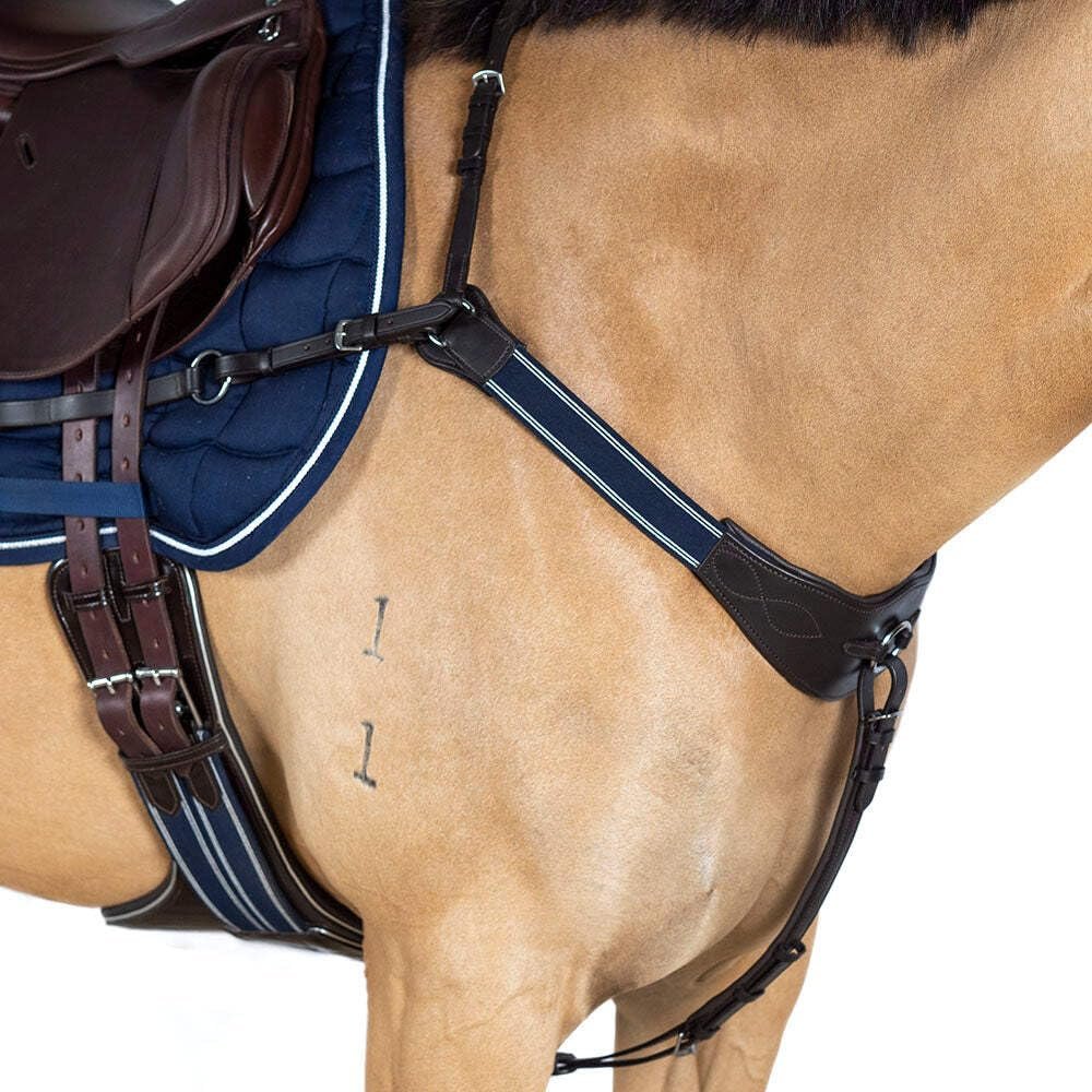 Modified Bridge Breastplate - with Blue and White Elastics Havana Oversize