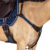 Modified Bridge Breastplate - with Blue and White Elastics Havana Oversize view 1