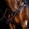 Modified Bridge Breastplate - with Blue and White Elastics Havana Oversize view 2