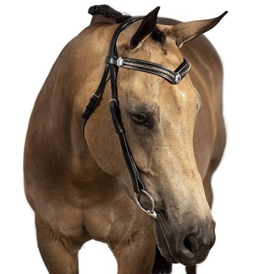 Flexible Fit Equestrian Black Nosebandless Snaffle Bridle 'Anderson' with Reins Pony