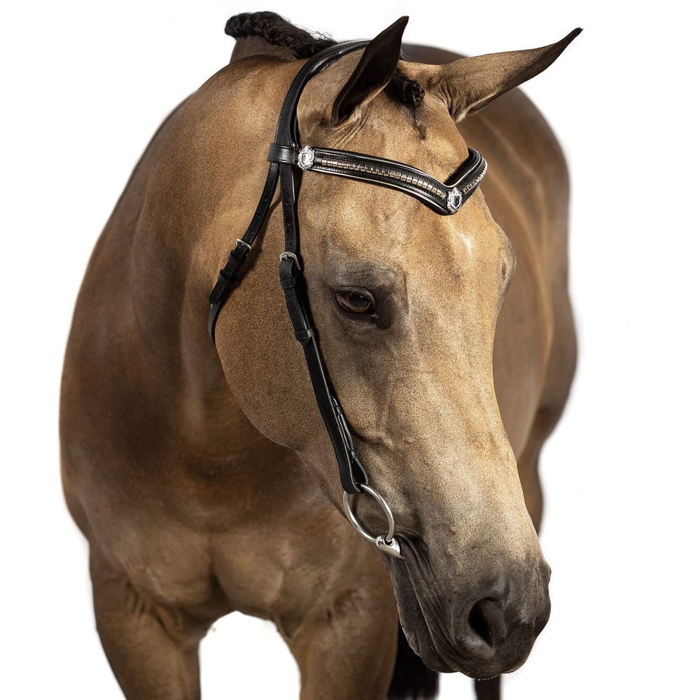 Flexible Fit Equestrian Black Nosebandless Snaffle Bridle 'Anderson' with Reins Pony