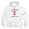 University of Illinois Official One Color UIUC Logo Unisex Adult Pull-Over Hoodie,White, Large view 1