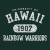 AH20 - Hawaii Rainbow Warriors Athletic Arch Hoodie - 2X-Large - Forest view 2