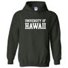 AH01 - Hawaii Rainbow Warriors Basic Block Hoodie - 3X-Large - Forest view 1