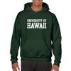 AH01 - Hawaii Rainbow Warriors Basic Block Hoodie - 3X-Large - Forest view 4