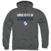 University of San Diego Official Stacked Unisex Adult Pull-Over Hoodie,Charcoal, 2X-Large view 1