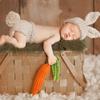 IDOPIP Newborn Baby Bunny Easter Photography Prop Crochet Knit Rabbit Hat Diaper Carrot 1st Birthday Outfit for Infant Boy Girl Photo Shoot Dress Hat + Shorts + Carrot (3pcs) 0-3 Months view 3