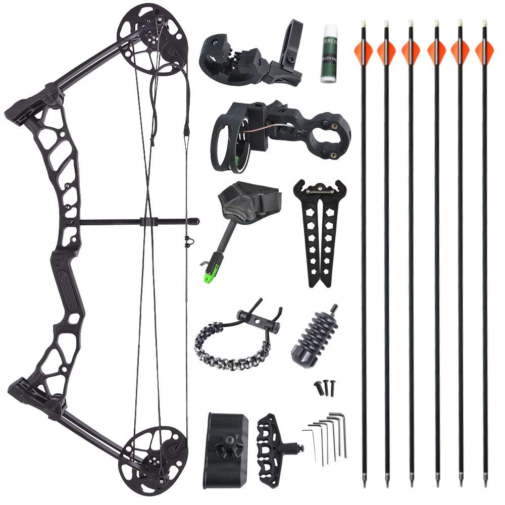 ZSHJGJR Archery Compound Bow and Arrow Set for Youth and Adults Beginner 16"-26" Draw Length 14-40 Lbs Adjustable Draw Weight 220 fps Max Speed Archery Hunting Shooting Kit Right Handed (Black)