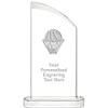 10" Basketball - Ball in Net Aspiration Crystal Award, Personalized Basketball - Ball in Net Crystal Trophy, Add Your Own Engraving Included, Prime view 1