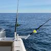 Glide Gear 1X Dual Offset Fishing Rod Spreader Outrigger Boat Trolling Holder view 1