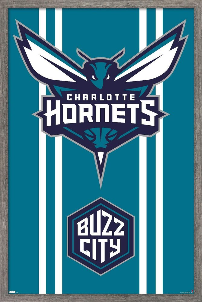 Trends International NBA Charlotte Hornets - Logo 20 Wall Poster, 22.4L x 14.7W, Barnwood Framed Version