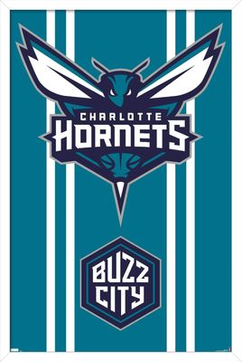 Trends International NBA Charlotte Hornets - Logo 20 Wall Poster, 34L x 22.4W, White Framed Version