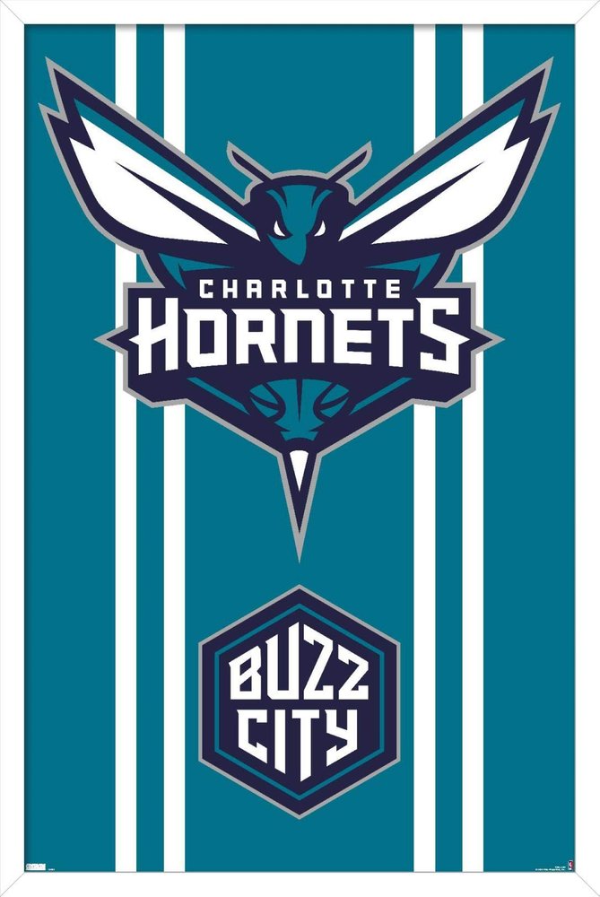 Trends International NBA Charlotte Hornets - Logo 20 Wall Poster, 34L x 22.4W, White Framed Version