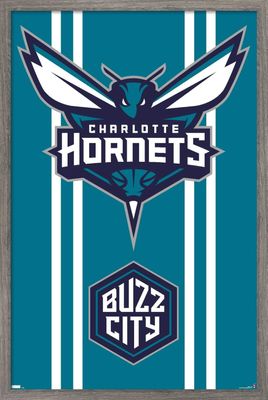 Trends International NBA Charlotte Hornets - Logo 20 Wall Poster, 34L x 22.4W, Barnwood Framed Version