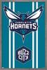Trends International NBA Charlotte Hornets - Logo 20 Wall Poster, 34L x 22.4W, Barnwood Framed Version view 1