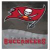 Trends International NFL Tampa Bay Buccaneers - Logo 20 Wall Poster, 22.375" x 34", White Framed Version view 1