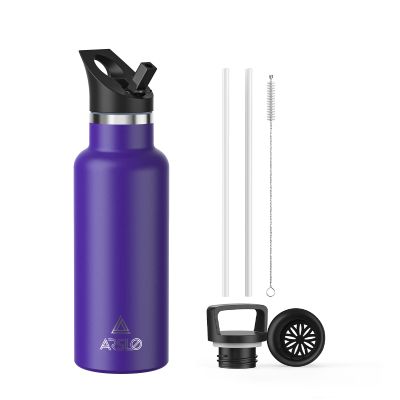 Arslo Stainless Steel Double Wall Water Bottles 17 Ounce, Vacuum Insulated Bottle With Straw Lid, Insulated Water Bottle Keeps Water Cold for 24 Hours, Hot for 12 Hours, Hiking, Sports