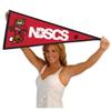 NDSCS Wildcats Pennant view 4