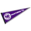 High Point Panthers Pennant view 1