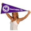 High Point Panthers Pennant view 4