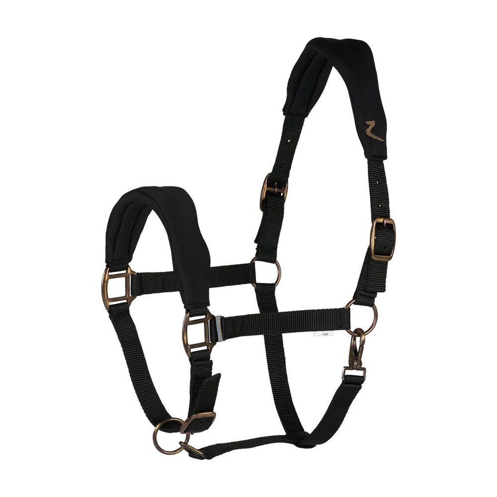 HORZE Graz Fleece Padded Halter - Black - Horse
