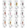 Trout Spoons Fishing Spoons Lures Kit,12pcs Trout Lures Single Hook Hard Metal Baits Mini Fishing Jigs Casting Trolling Spoon Lure for Crappie Char Perch Sunfish Trout view 3