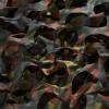 Camo Netting, Bulk Roll Camouflage Netting German Flecktarn 5 x 26 ft, Military Hunting Free Cutting for Hunting Blind Sunshade Shooting Theme Party Decoration view 2