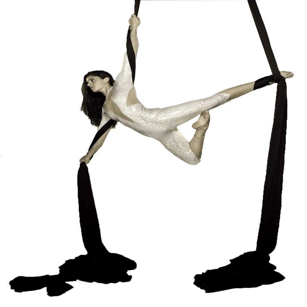 F.Life Aerial Silks 13 Yards Hardware Kit Medium Stretch Aerial Yoga Hammock Acrobatics - Swivel 360 Spin Equipment Height Adjustment Strap, Portable Storage (Black)